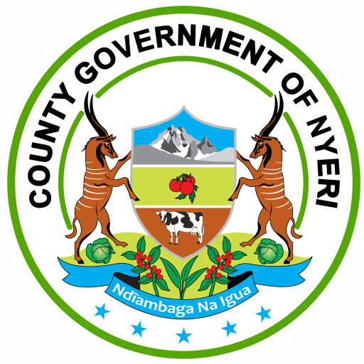County Government